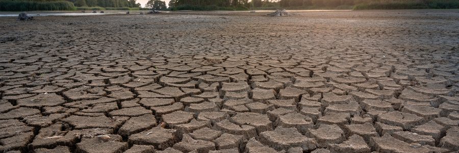 Cambiamenti climatici: siccità e risorsa idrica in Italia
